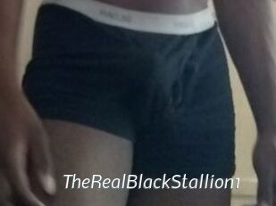 TheRealBlackStallion1