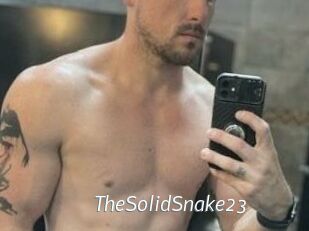 TheSolidSnake23