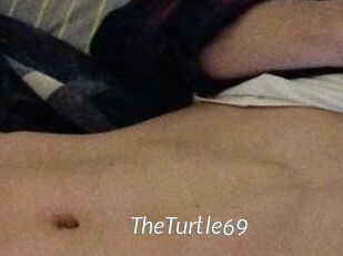 TheTurtle69