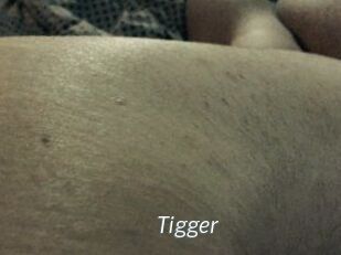 Tigger