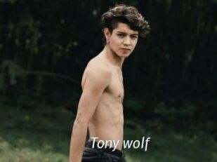 Tony_wolf