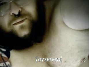 Toyservent