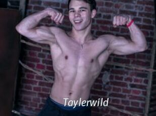 Taylerwild