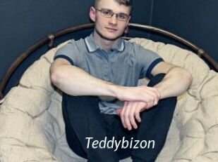 Teddybizon