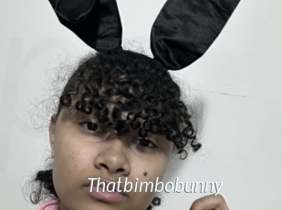 Thatbimbobunny