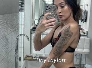 Tiny_taylorr