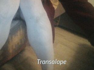 Transalope