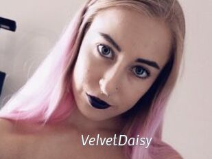 VelvetDaisy