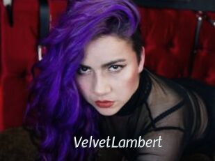 VelvetLambert