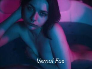 Vernal_Fox