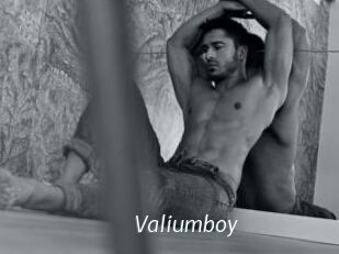 Valiumboy