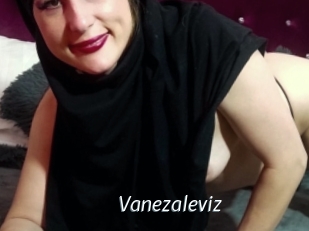 Vanezaleviz