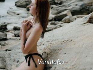 Vanillafox