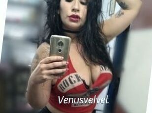 Venusvelvet