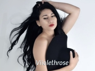 Viiolethrose