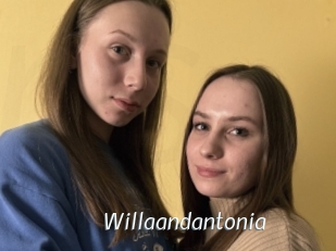 Willaandantonia