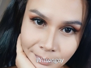 Wilsongay