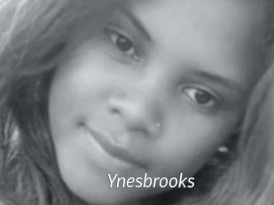 Ynesbrooks