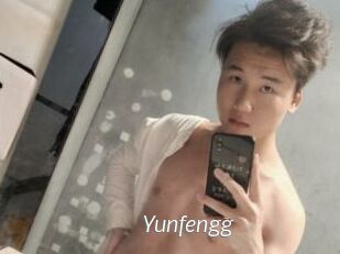 Yunfengg