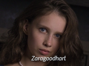 Zaragoodhart